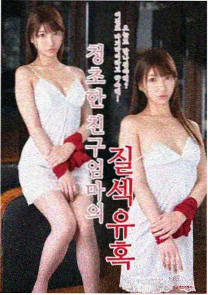 《夜航西飞》封面